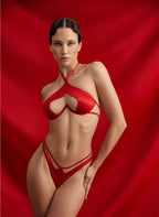 Luxurious Red Silk Mesh Lingerie Set with Dipped Thong Silk