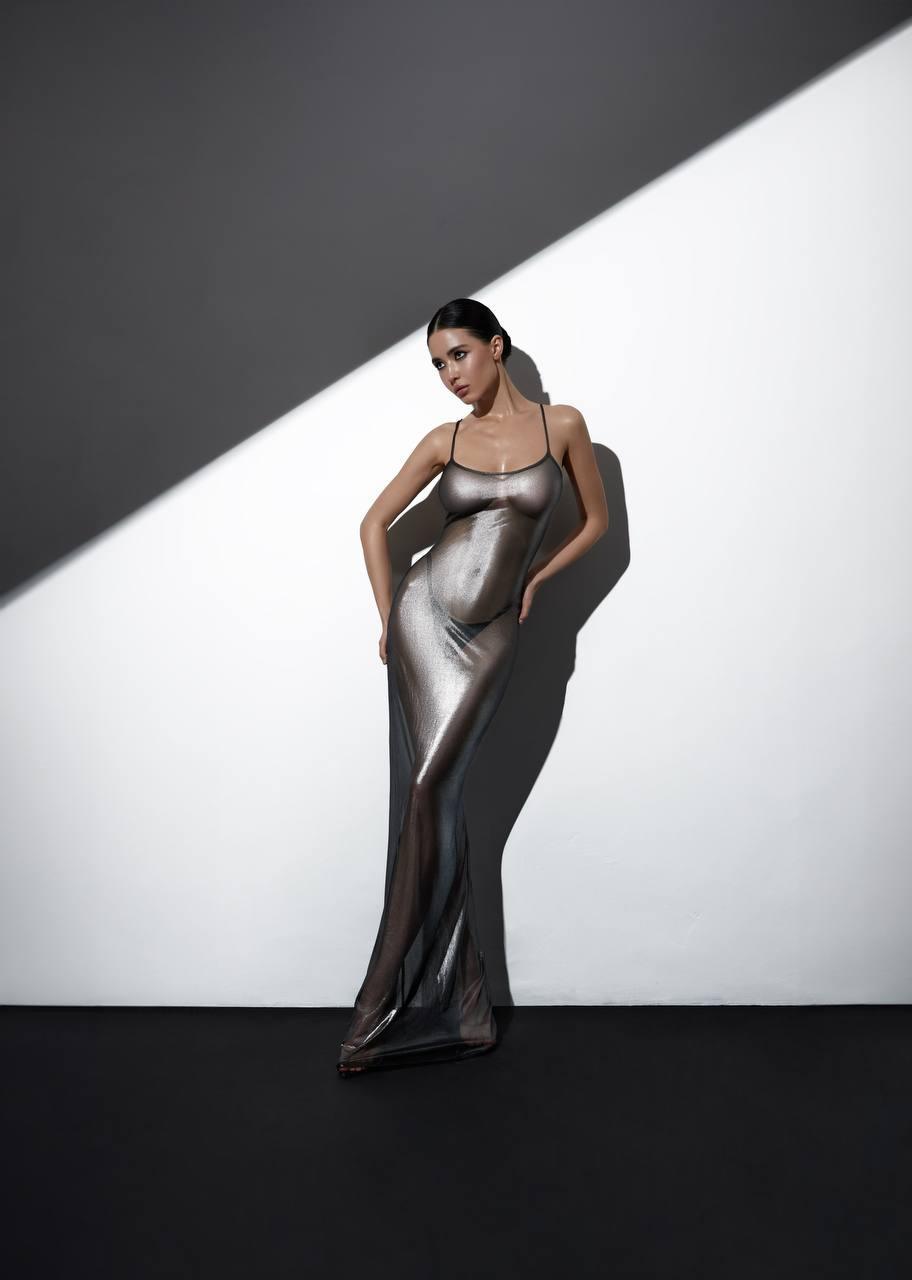 Elegant Black Maxi Dress in Shimmering silver Mesh